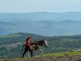 Antoinette in the Cévennes image - a film by Caroline Vignal