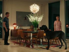 Peacock - film image - a film by Bernhard Wenger