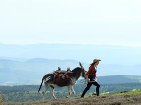 Antoinette in the Cévennes image - a film by Caroline Vignal