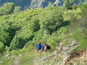 Antoinette in the Cévennes image - a film by Caroline Vignal